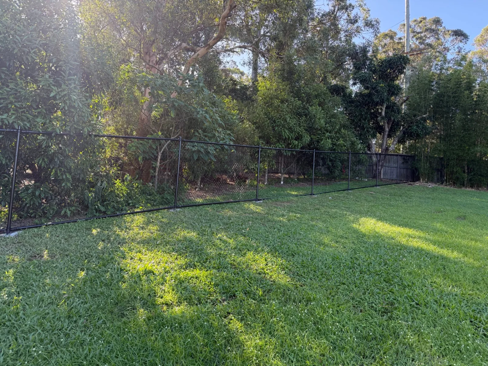 Rural chainwire fencing dividing paddocks