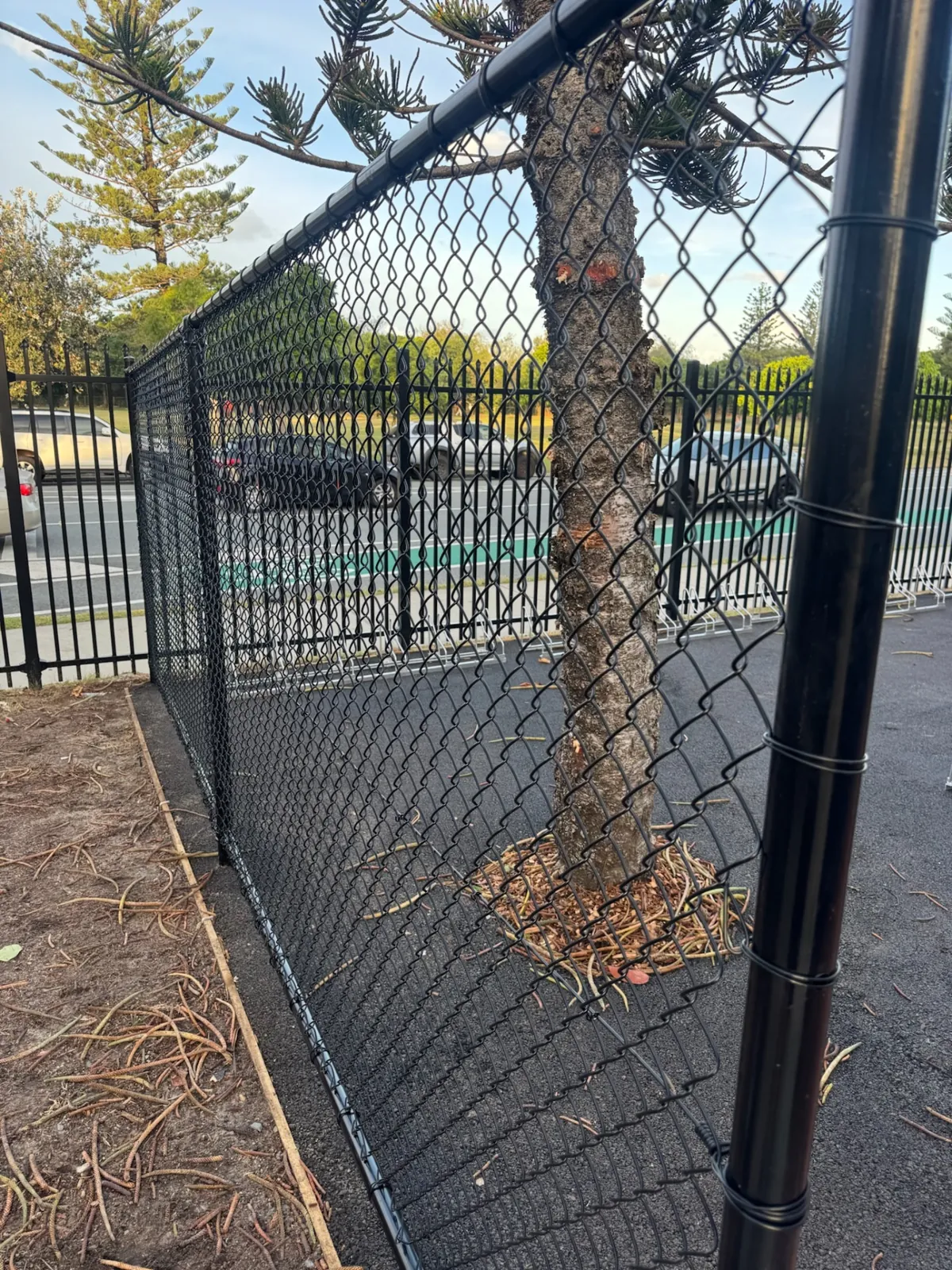 School fencing by Wood Trades at Broadbeach State School – Bike Cages, Broadbeach, QLD